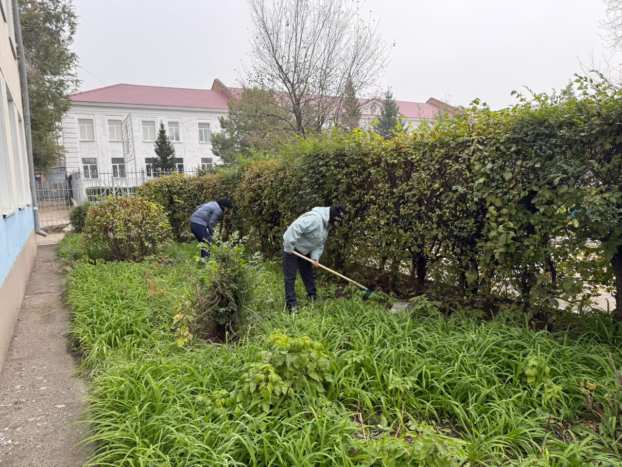 СЕНБІЛІК — ТАЗАЛЫҚ ПЕН ТӘРБИЕНІҢ КӨРІНІСІ